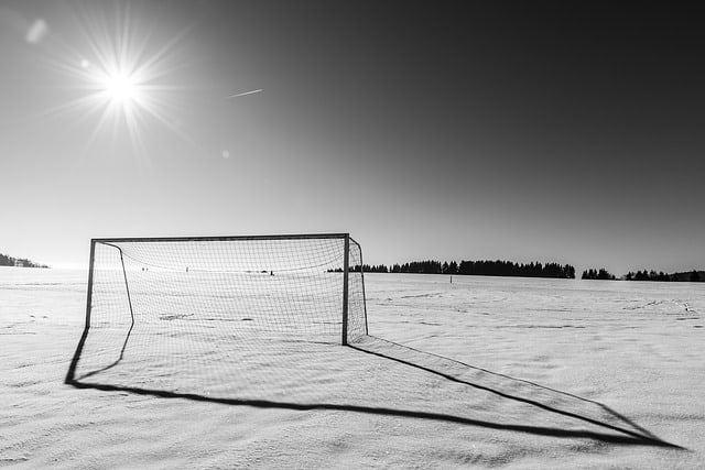 Soccer net in the snow